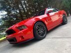 Thumbnail Photo 2 for 2014 Ford Mustang Shelby GT500 Convertible